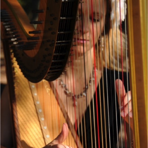 Wedding harpist at Villa Camino Cielo, Santa Barbara