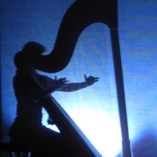 Fantasticks harpist Laurie Rasmussen