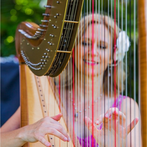 Harpist at Biltmore Montecito